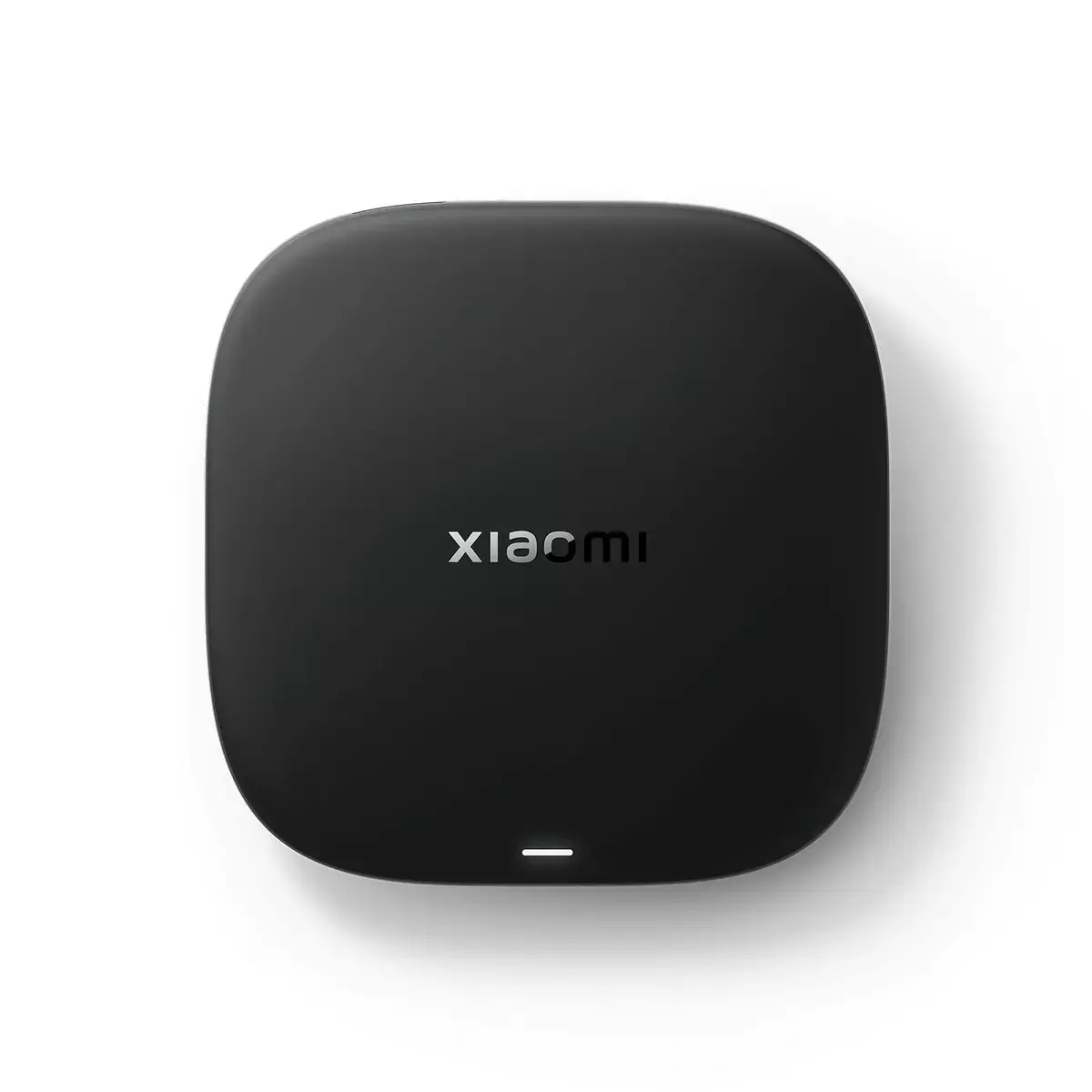 1200xauto-5.webp